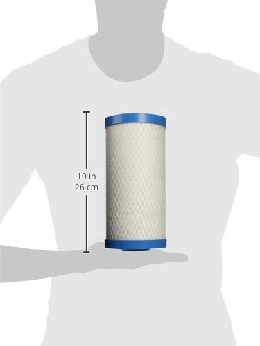 Pentair Pentek ChlorPlus 10BB Big Blue Carbon Water Filter, 10-Inch Whole House Chloramine Reduction Cartridge, 4.5" x 9.75", 1 Micron, Reduces Chloramine and Chlorine Taste and Odor