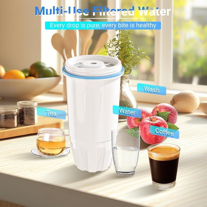 Water Filter Replacement Compatible with Zero Pitcher and Dispenser ZR-001 ZR-017 ZR-004 ZP-006 ZD-013 ZS-008, Multi-Stage Filter System, Reduce Lead, Chromium, and PFOA/PFOS, Pack of 6, By DESENRUIS