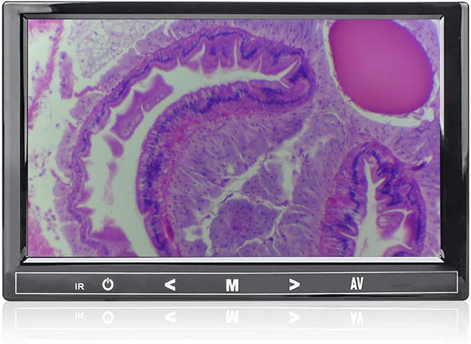 7" 5MP LCD Screen for Trinocular Microscope 23.2mm Mounting Size