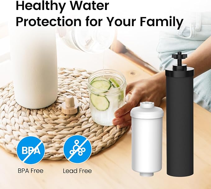 Filterlogic Gravity Water Filter Replacement for Berkey® BB9-2® Filter | Replacement for Berkey®, Purewell®, ProOne®, Alexapure®, BB9-2® Black Filter & PF-2® Fluoride Filters, NSF/ANSI 372 Standard
