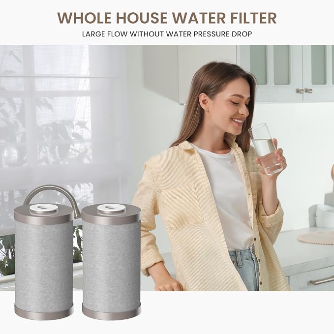 Fortitude V2 Series Sediment/Carbon/Zinc Triple Purpose Replacement Filter Compatible with the Aquasure Fortitude V2 Series Filtration System (AS-FS-25SCZ) (AS-WHF Series) (AS-HS Series) 2 Pack