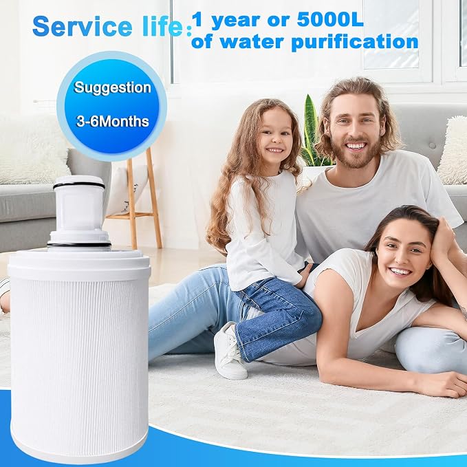 1Pack 100186 Water Filter Replacement Compatible with Amway espring 100186 water filter cartridge,UV activated carbon cartridge box with pre-filter,High efficiency filtration removing odors