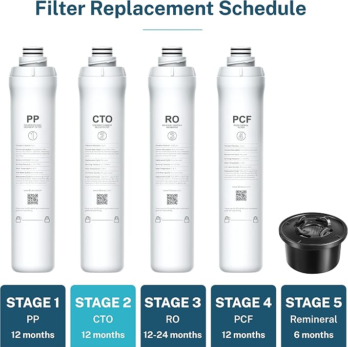 Bluevua Official ROPOT CTO Filter, Replacement for RO100ROPOT, 1-year Lifetime-2nd Stage