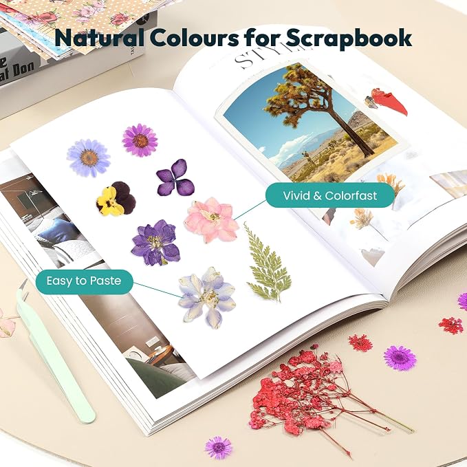 Resiners Colorful Dried Pressed Flowers & Heat Gun - Colorful Real Pressed Flowers for Scrapbook Supplies Card Making Resin Jewelry Making Soap Candle DIY Crafts