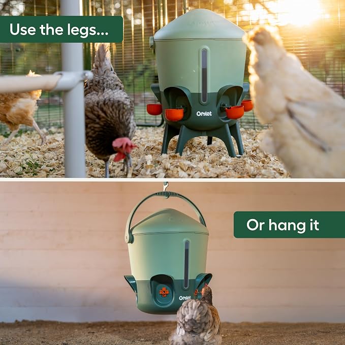 Omlet Insulated Chicken Waterer, 3 Gallon | Stay-Clean Automatic Water Dispenser for Chickens | BPA-Free | Anti-Roost Domed Lid | Includes 5 Cups & Nipples | Sage Green