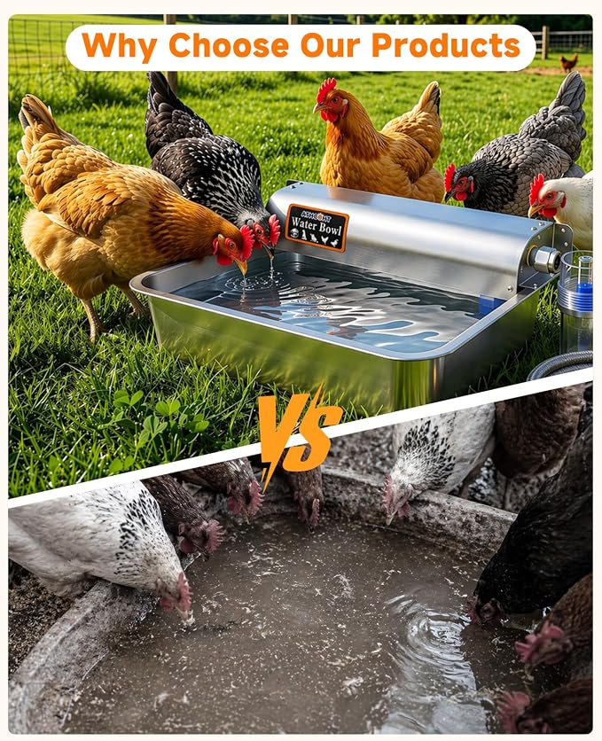 3 Gallon Automatic Chicken Waterer, Real 304 Stainless Steel Metal Poultry Waterer with Upgraded Float Valve, Extra Filter, 1.5M Hose (Stainless Steel Auto Waterer Set)