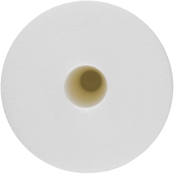 20" x 2.5" Sediment Water Filter (4) 5 Micron Whole House Cartridges