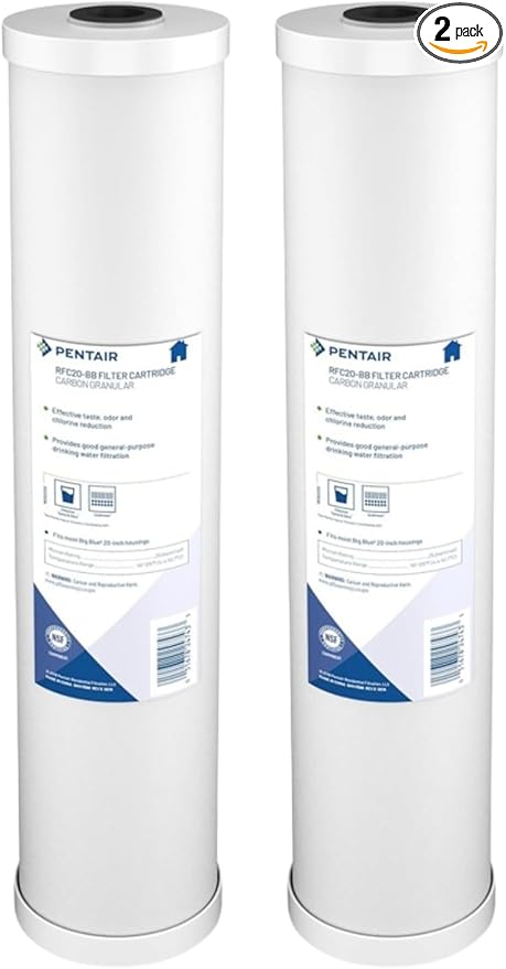 Pentair Pentek RFC20-BB Big Blue Carbon Water Filter Cartridge, 20 inch Whole House Radial Flow Granular Activated Carbon, 20" x 4.5", Pack of 2