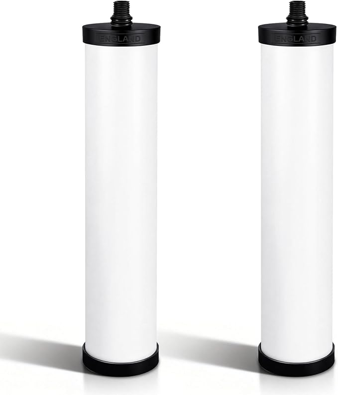 2 Pcs FRC06 Water Ceramic Filter Cartridge Compatible With FRCNSTR etc | Reduces Water Impurities, Stable Filtration Performance, Premium Material, Tool-Free Quick Install, Ideal Household Daily Use