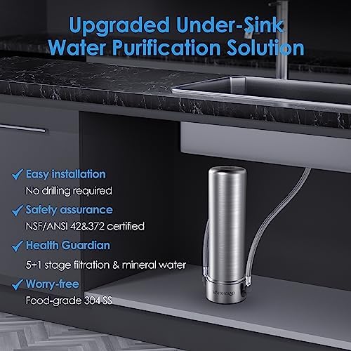 Waterdrop AS13 Under Sink Water Filter System, Reduces Lead, Chlorine, Bad Taste & Odor, PFAS, NSF/ANSI 42 Certified, No Drilling Required with WF13 Replacement Water Filter