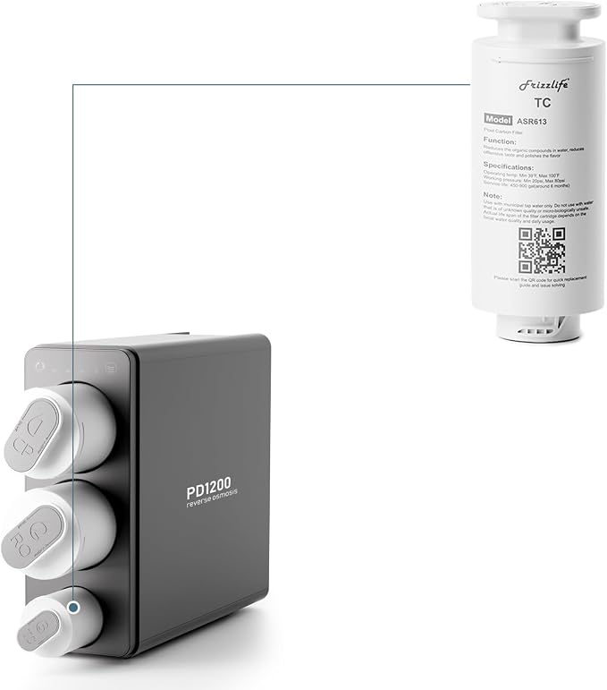 Frizzlife ASR613 Replacement Post Filter Cartridge For PD1200 Reverse Osmosis System(3rd Stage) (Pack of 2)