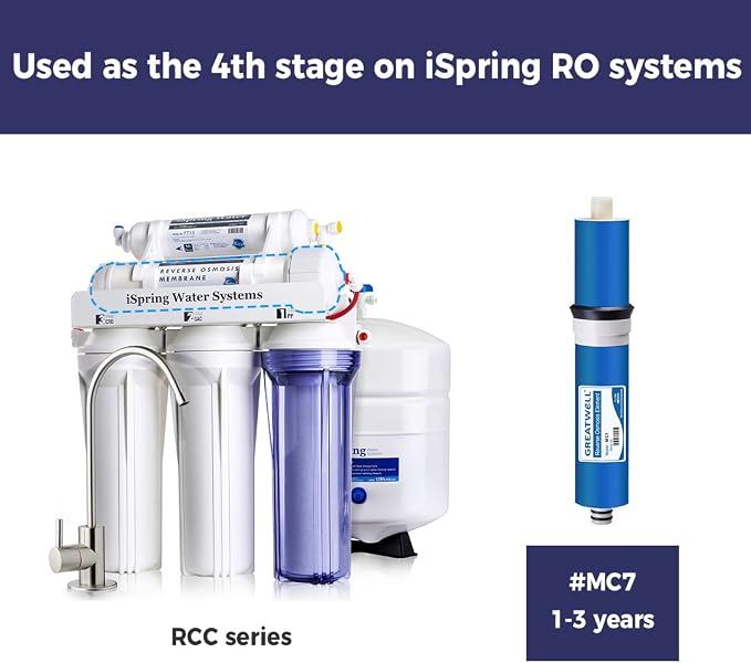 iSpring FT15 5th Stage Inline Post Carbon Filter & Greatwell Reverse Osmosis Membrane 75 GPD 11.75” X 1.75” & F7-GAC for Standard 5-Stage Reverse Osmosis RO Systems 1-Year Replacement