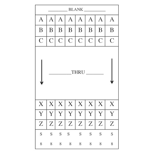 DayMark Metal Date Coder DM4 SpeedyMark 4, 2-Line Marking Gun Labeler, Layout E