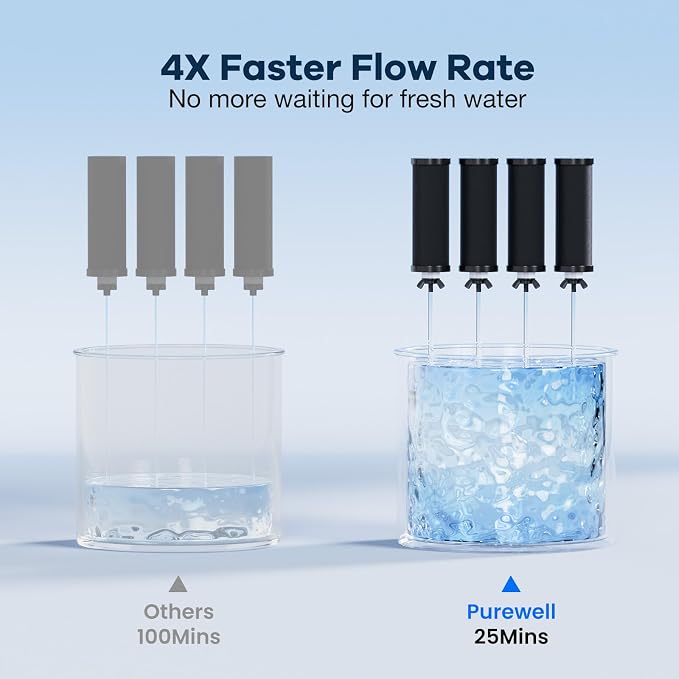 Purewell PF-3 Black 3-Stage Composite Purification Elements, Replacement Filters for ProOne® and Berlkey® Filters, ProOne® or Berlkey® Big+ Water Filter System and Purewell System (4 Pack, K Series)