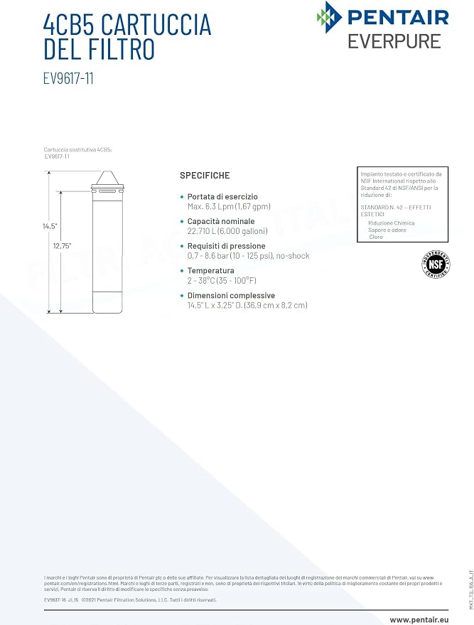 Everpure EV961716 4CB5 Cartridge