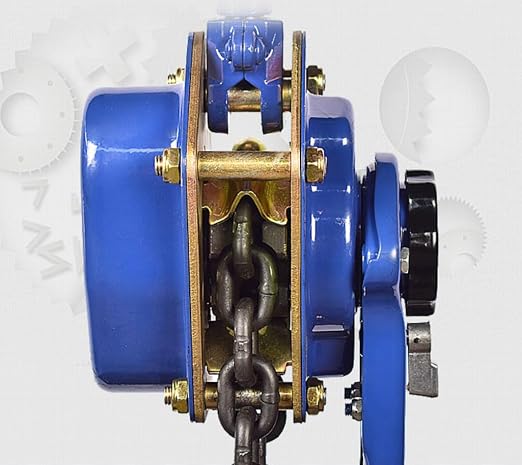 Hand Chain Hoist 1 Ton 10ft Chain Block and Tackle Pulley System, 6mm Chain Come Along Winch Heavy Duty Block Chain Fall Hoist, G80 Chain Lever Hoist Garage Chain Lift