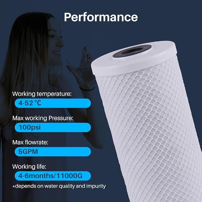 CFS – 1 Pack Carbon Water Filter Cartridge Compatible with RFC20-BB Models – Remove Bad Taste and Odor – Whole House Replacement Filter Cartridge – 20" x 4-1/2"