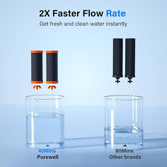 Purewell PF-3-FL Black 4-Stage Composite Carbon and Fluoride Reduction Filters, Compatible with Berlkey® Big+, ProOne® Big+ Gravity Water Filter Systems and Purewell Systems (2 Pack, K Series)