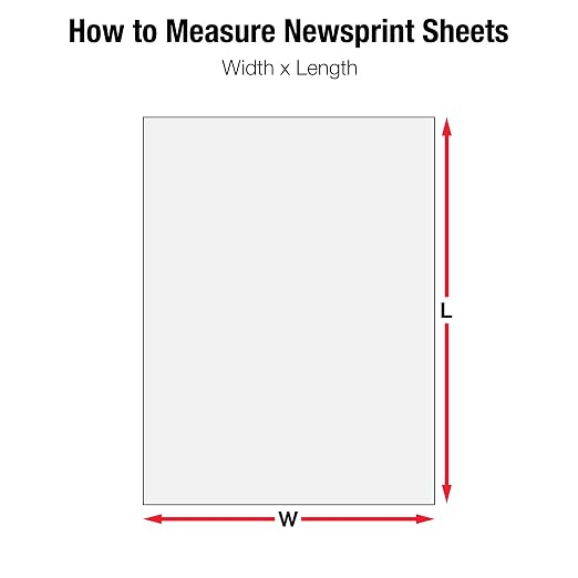 BOX USA Packing Paper Sheets 30" x 20" (1200 Sheets) - Newsprint Paper for Shipping, Storage and Moving Supplies, White