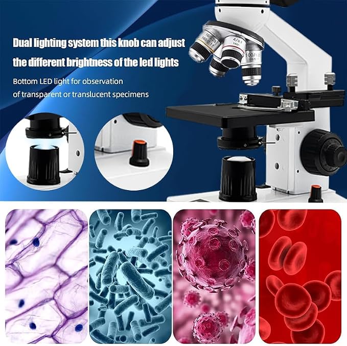 Adult Student Compound Binocular Microscope - 40X-5000X High-Magnification Large-Field Professional Biological Microscope, Suitable for Schools, Laboratories, and Home Education