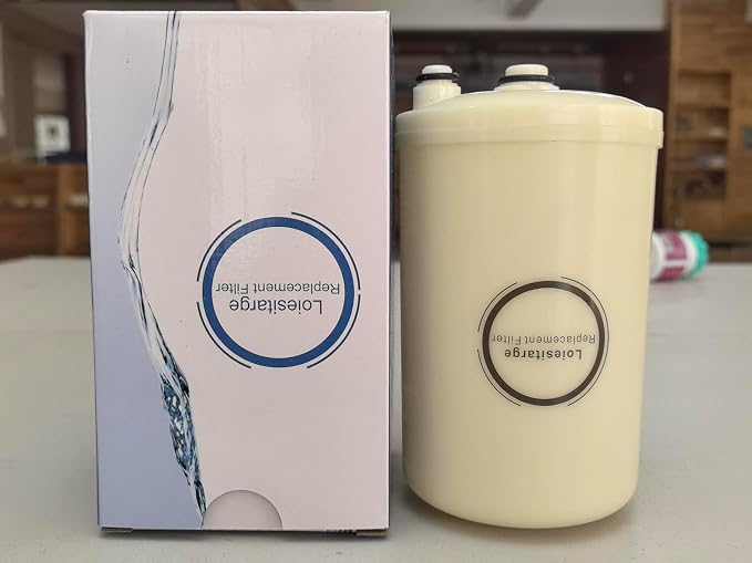 High Grade Water Filter Replacement, Removal of Chlorine for the Leveluk Kangen 8-2Pcs（Replacing HG-N and K-8 Filters） (2Pack)