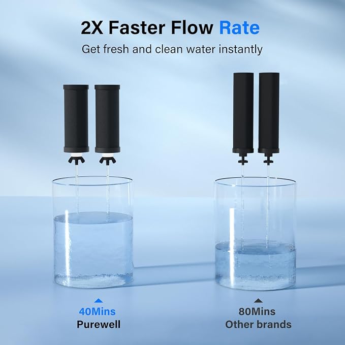 Purewell PF-3 Black 3-Stage Composite Purification Elements, Replacement Filters for ProOne® and Berlkey® Filters, ProOne® or Berlkey® Big+ Water Filter System and Purewell System (2 Pack, K Series)