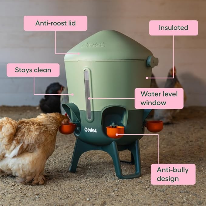 Omlet Insulated Chicken Waterer, 3 Gallon | Stay-Clean Automatic Water Dispenser for Chickens | BPA-Free | Anti-Roost Domed Lid | Includes 5 Cups & Nipples | Sage Green