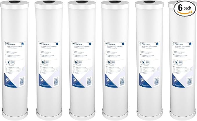 Pentair Pentek RFC-20BB Big Blue Carbon Water Filter, Whole House Heavy Duty Radial Flow Carbon Replacement Cartridge with Granular Carbon (GAC) Filter, 20" x 4.5", 25 Micron, Pack of 6, White