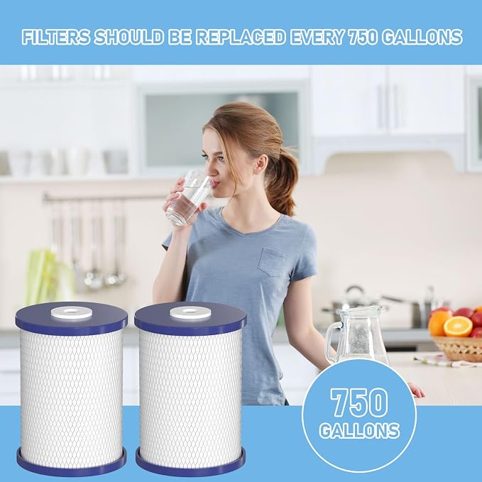 0.5 Micron Coconut Shell Activated Carbon Water Filters Compatible with Royal Prestige Frescapure 4000, 4500, 5000, 6000 CT, 6000 UC, WF0705 Water Filter Systems, 750 GPD Life Span - Pack of 2