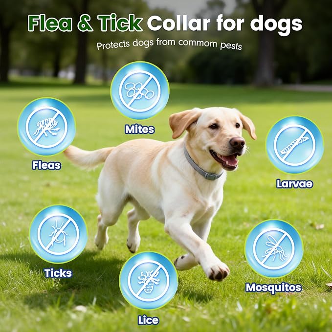 KOOSA Flea and Tick Collar for Dogs, 5 Packs Flea Collar for Dogs with Natural Essential Oils, Waterproof & Adjustable Flea and Tick Prevention Collar for Small Medium Large Dogs & Puppies, Grey