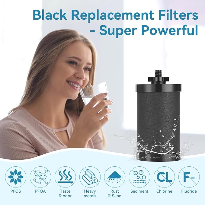 2 PCS 2387 Pro Replacement Water Filter, Compatible with Alexapure Water Filtration System Has a 5000 Gallon Throughput Capacity for Outdoor Camping, Emergency Water Use (Black)
