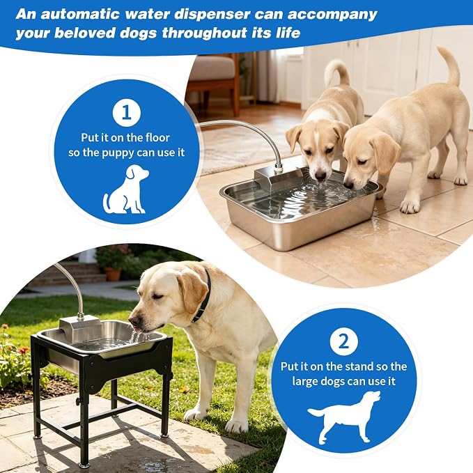 3 Gallons Elevated Automatic Water Dispenser for Dogs,4 Height Adjustable Outside Dog Water Bowl,Stainless Steel Dog Self Watering Bowl Livestock