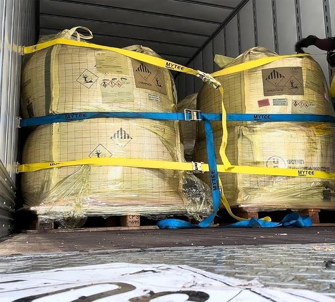 Mytee Products (10 Pack) 2'' x 20' E Track Straps w/Spring E-Fittings - Blue Ratchet Etrack Straps w/Heavy Duty 4000 lbs Breaking Strength for Enclosed Trailers, Trucks & Vans
