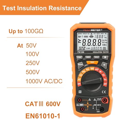 Digital Megohmmeter, Insulation Resistance Tester, 50V/100V/250V/500V/1000V for Electrical Equipment and Insulating Resistance Up to 100GΩ with PI/DAR, Frequency and Low Voltage Test