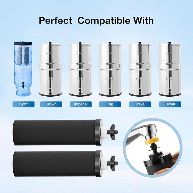Black Purification Elements, Replacement for ProOne® and Berlkey® Big+ Gravity Water Filters System, NSF/ANSI 42&372 Certified Replacement Filter Elements, 0.01 Micron Filtration (2 Pack)