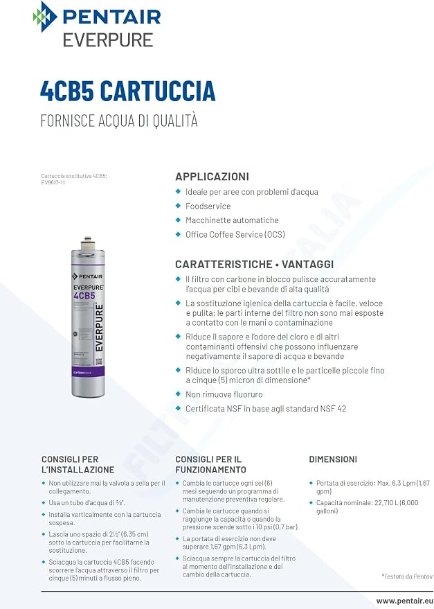 Everpure EV961716 4CB5 Cartridge