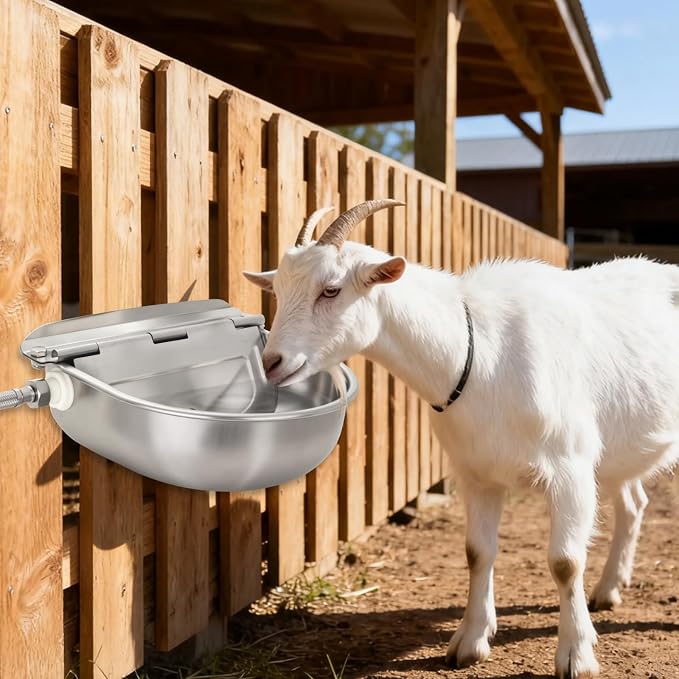 2 Pack 304 Stainless Steel Automatic Livestock Waterer with Float Valve & Drainage Hole– Animal Watering Bowl for Dog, Horse, Goat, Pig, Chicken, Easy-Clean Water Bowl for Outdoor Farm Use