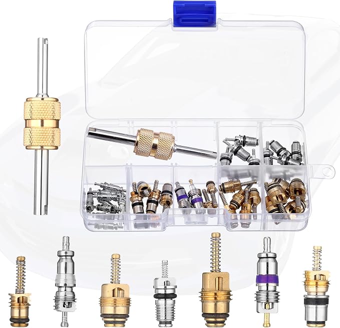 Car A/c Repair Kit , 270 Pcs O-ring Kit, 60 Pcs Compressor Gasket Seals, 77 Piece Dust Cap 39 Piece Valve Core R12 R134a Kits O Ring Cap Compressor Port Seal Remover for A/c Refrigeration System