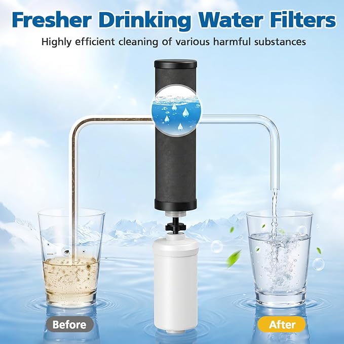 Water Filter Replacement Compatible with Ber-key ® BB9-2 Gravity Water Filter System, High-Efficiency Coconut Shell Activated Carbon for 250+ Contaminants, 4 Pack Black Carbon Filters