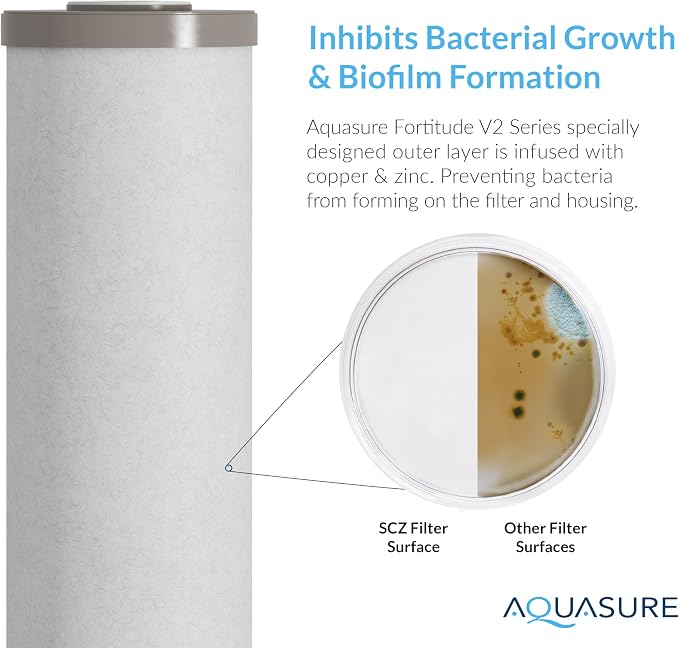 Aquasure Fortitude V2 Series | Sediment/Carbon/Zinc Bacteria Inhibiting Triple Purpose Replacement Filter - Large