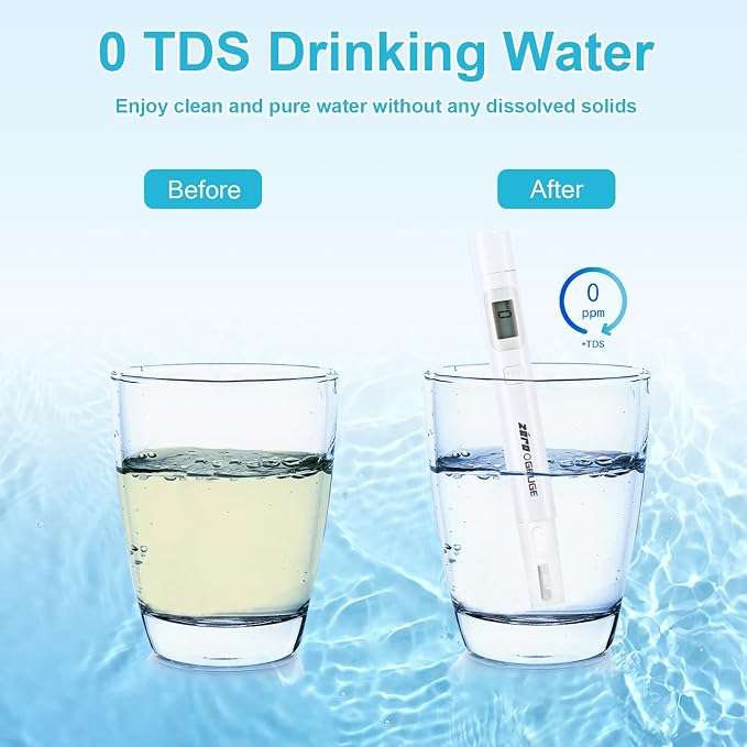 VIPHASES Upgraded 6-Stage 0 TDS Water Filter Replacement for ZR-001, ZR-017, ZR-004, Removes 99.99% Lead, Chlorine, Fluoride, PFOA/PFOS, 2-Pack