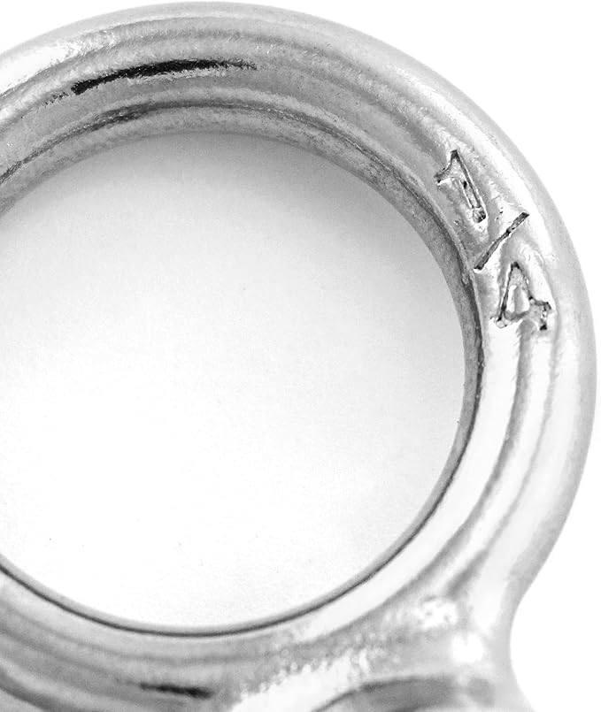 QWORK Eye Bolt, 10 Pack 1/4" - 20 x 1" Marine Grade Stainless Steel Lifting Ring Threaded Eyebolts