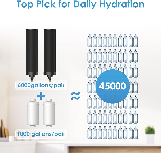 AQUA CREST TN-A-FS Gravity Water Filter System, NSF/ANSI 42&372 Certified Filters of 4, Reduce Fluoride and Chlorine, Stainless Steel Water System for Home, Emergencies, 2.25G