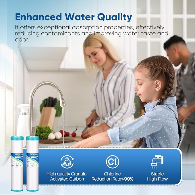 PUREPLUS 5 Micron 20" x 4.5" RFN20BB-C Whole House Granular Activated Carbon Water (GAC) Filter Replacement Cartridge, Replacement for GAC-20BB, FG25B-KS, FI-CAB20-BB, 1 Pack