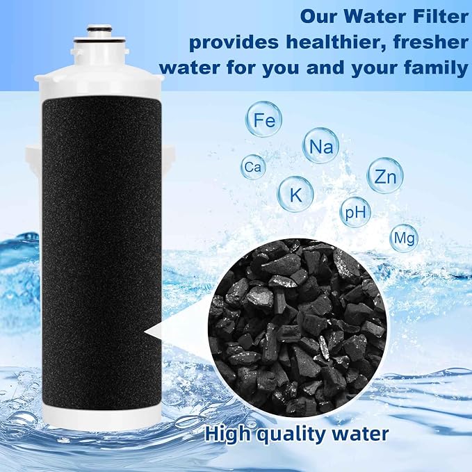 Replacement for 51600-C® Filter, Compatible with Ezh2o Filter Replacement Filling Station, Replacement for Elkay Water Filter No Chip 6000 Gal 12 Month, 2Pack