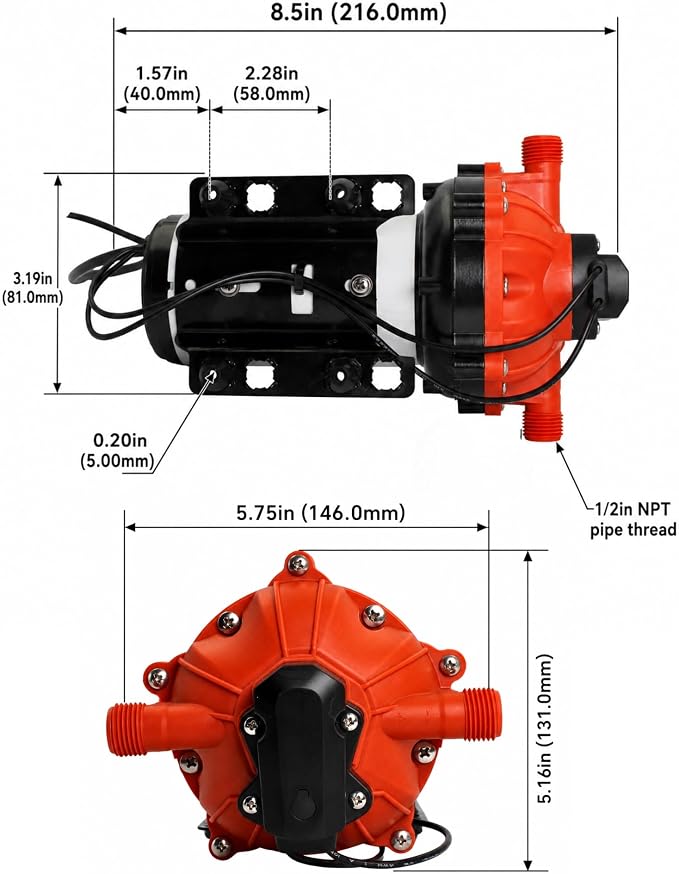 SEAFLO 55 Series 115V AC Automatic Demand Diaphragm Pump – 5.0 GPM, 60 PSI, 5-Chamber Self-Priming Water Pump w/Power Plug for Outlet, RV, Marine & Off-Grid Water Systems, 4-Year Warranty