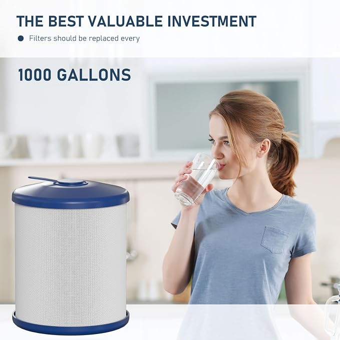 RS-1SG (788000) Water Filter Replacement Cartridge Compatible with General Ecology Seagull IV X-1 Series Water Purifiers RV/Marine Models, 1000 Gal. Capacity