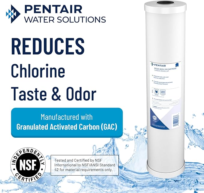 Pentair Pentek RFC20-BB Big Blue Carbon Water Filter Cartridge, 20 inch Whole House Radial Flow Granular Activated Carbon, 20" x 4.5", Pack of 2