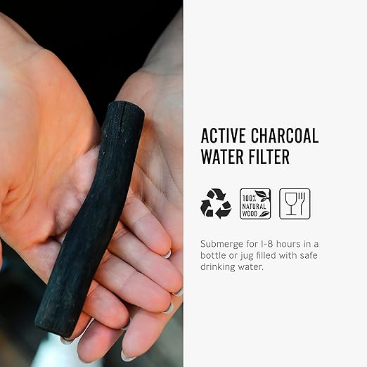Black + Blum Charcoal Water Filter Sticks | Charcoal Filter Hydration Old Japanese Tradition, Lasting 6 Months Each, Wood Black (1 Piece)