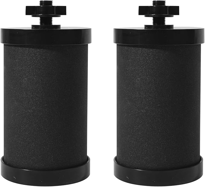 2387 Filter Replacement Compatible with Alexapure Water Filter System | for Alexapure Pro Water Filtration System Gravity Carbon Block Filters,Removes Chlorine,Capacity 5,000 Gallons,Black 2 Pack
